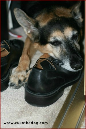 Zuko recommends shoes